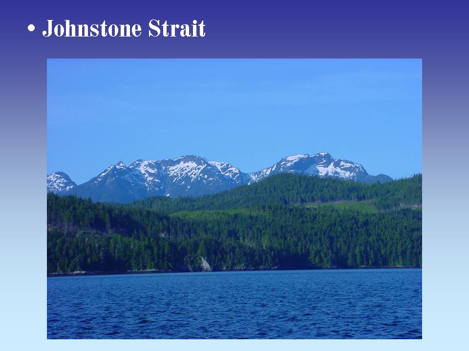 slide16